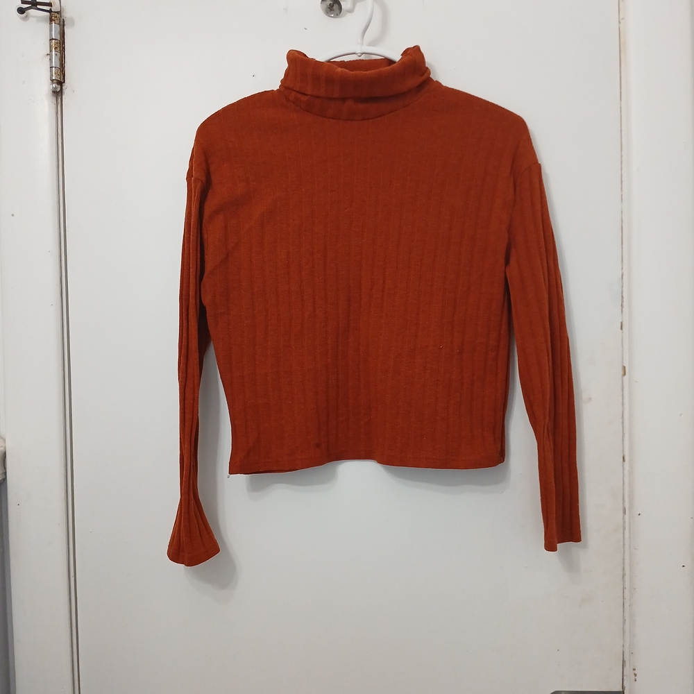 Warm Rust Turtleneck Sweater